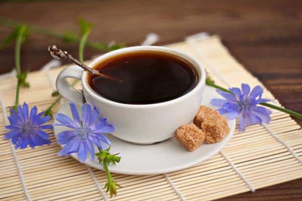 مصرف کاسنی به منظور بهبود کبد چرب از نظر طب سنتی  مصرف کاسنی به منظور بهبود کبد چرب از نظر طب سنتی